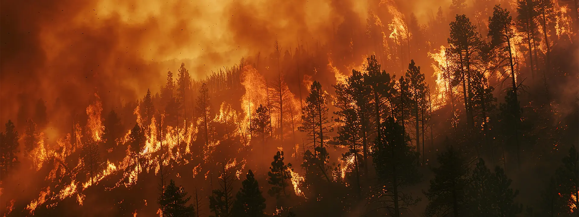 Gestión de riesgos naturales y antrópicos